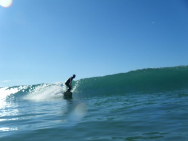 Profesionales del surf